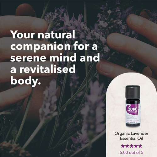 Discover the therapeutic benefits of lavender oil..jpg