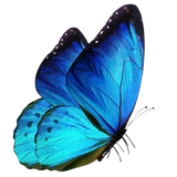 IMG 1683.png