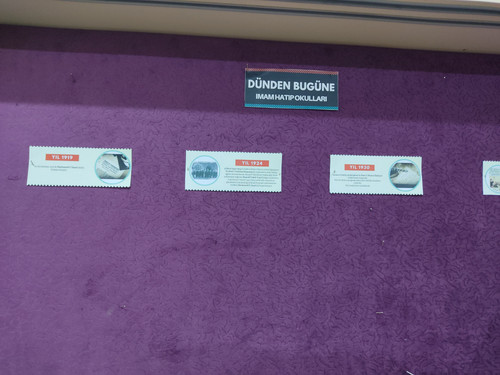 IMG 20241017 141826.jpg