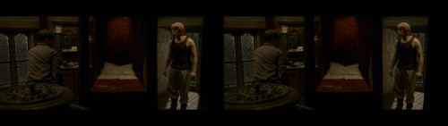Harry Potter and the Half Blood Prince (2009) {imdb tt0417741} {edition 3D Conv} [Bluray 1080p][3D][.jpg