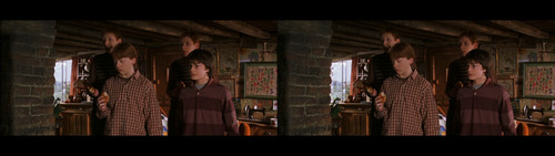 Harry Potter and the Chamber of Secrets (2002) {imdb tt0295297} {edition 3D Conv} [Bluray 1080p][3D].jpg