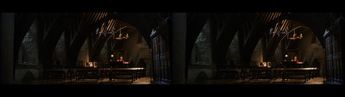 Harry Potter and the Chamber of Secrets (2002) {imdb tt0295297} {edition 3D Conv} [Bluray 1080p][3D].jpg