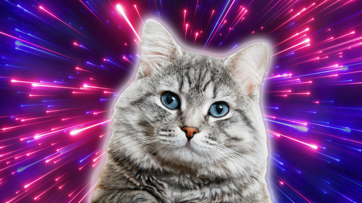 I Gatti possono avere un profondo effetto sulla Salute Fisica e Mentale