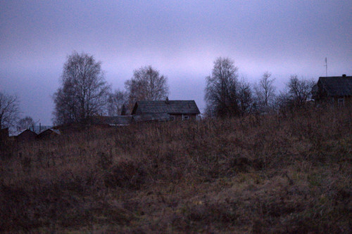 DSC 0049.jpg