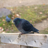 DSC 0045