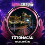toto copy.webp