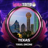 texas copy.webp