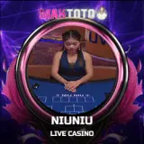 niuniu copy.webp
