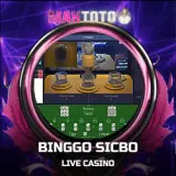 binggo sicbo copy.webp