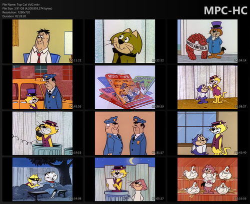 Top Cat2.png