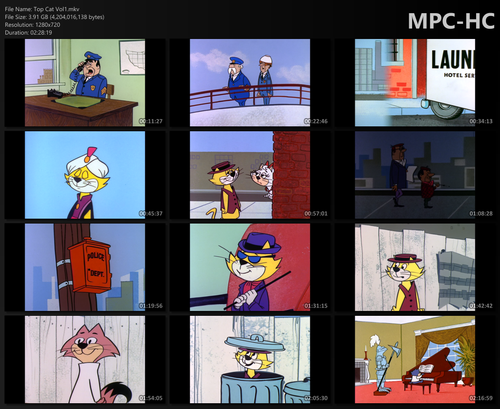 Top Cat1.png
