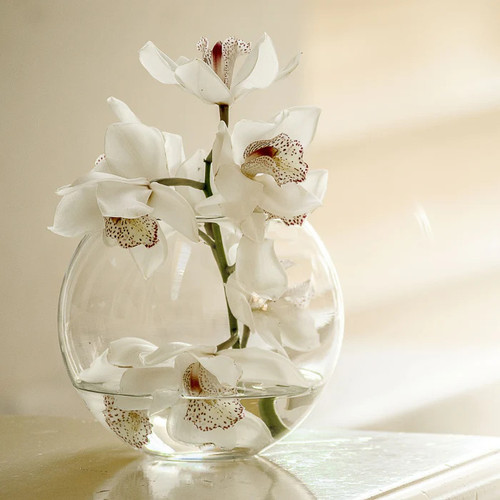 Discover the Best Candle Fragrance Oils for Your Creations.jpg