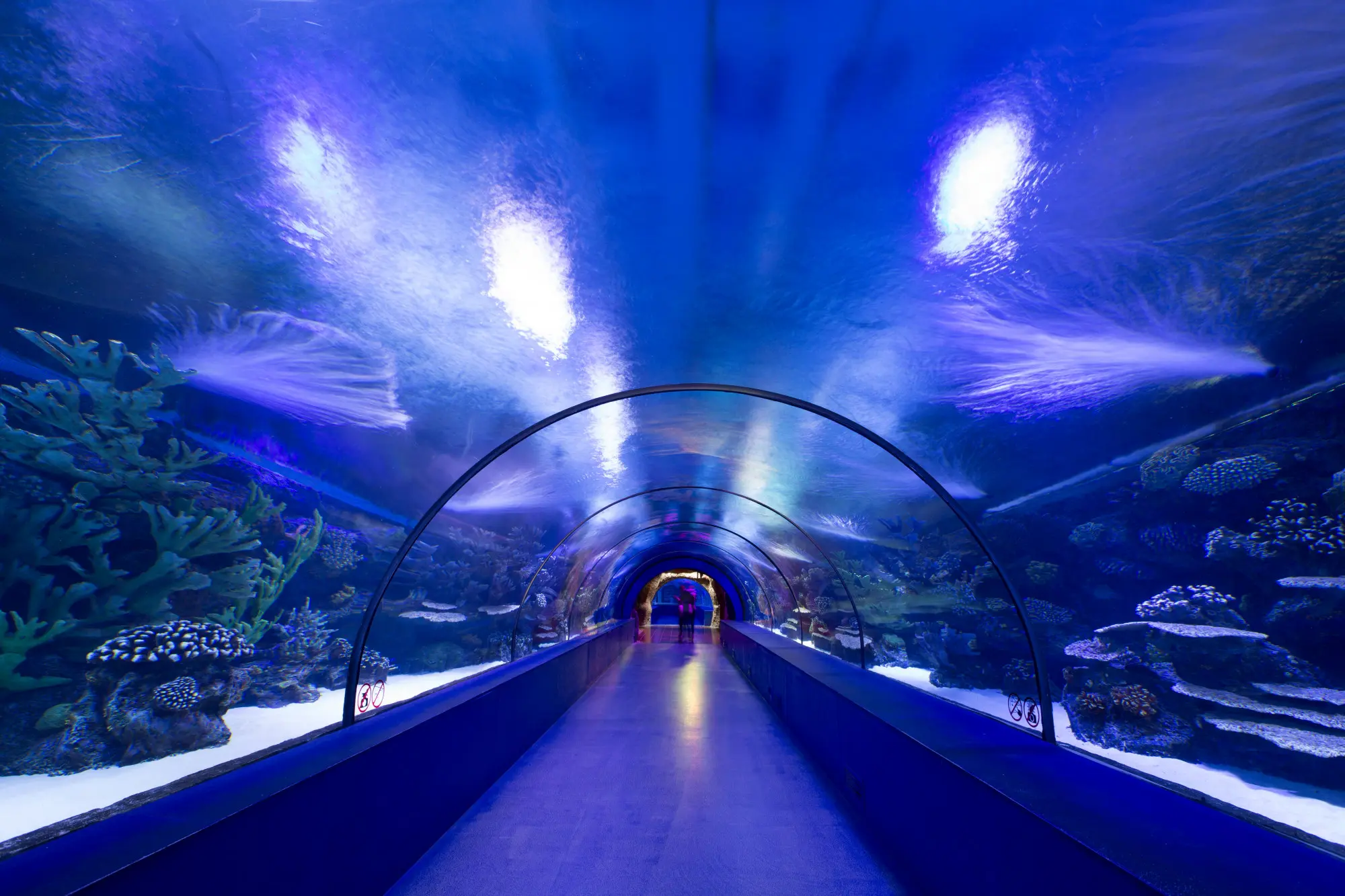 قیمت بلیط آکواریوم مشهد, آکواریوم مشهد, آکواریوم سی لایف, Sea Life, مجتمع پروما, مشهد, گردشگری مشهد, قیمت بلیط آکواریوم مشهد 1403, ساعت کاری آکواریوم مشهد, تونل آکواریوم, غواصی در آکواریوم, تخفیف آکواریوم مشهد