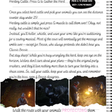 Page 2 First Steps (7)