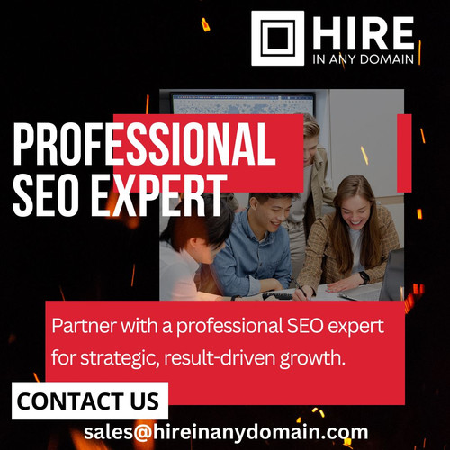 Professional SEO Expert.jpg