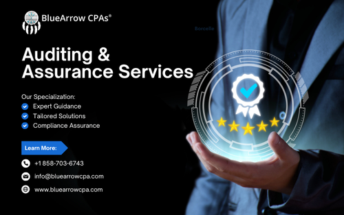 Auditing & Assurance Services.png