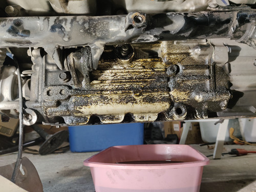 IMG 20250122 120912.jpg