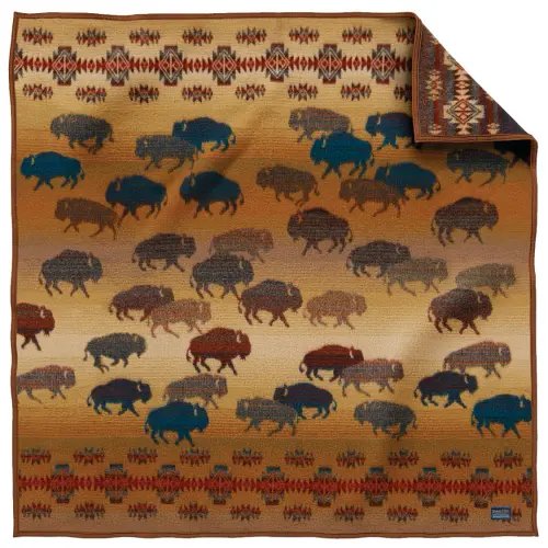 pendleton throw.webp