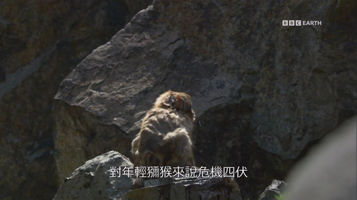 Japan.Earth's.Enchanted.Islands.S01E01.2015.1080p.Hami.WEB DL.H264.AAC HHWEB.mkv 20250127 133106.362.png