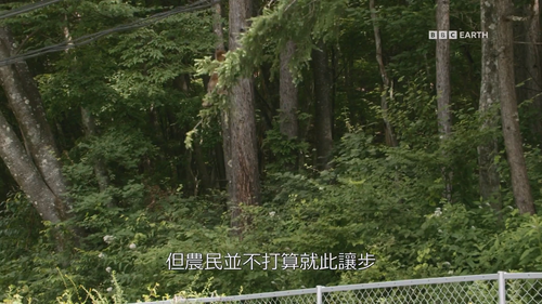 Japan.Earth's.Enchanted.Islands.S01E01.2015.1080p.Hami.WEB DL.H264.AAC HHWEB.mkv 20250127 133108.554.png