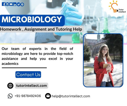 Need Help with Your Microbiology Assignment? We’re Here for You!.jpg