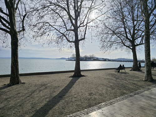 1000037095.jpg
