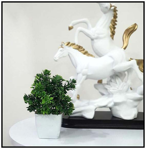 61aVNUCFOML. SX569 .jpg