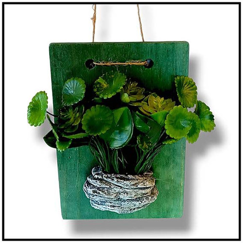 71mvPjY1QhL. SX569 .jpg