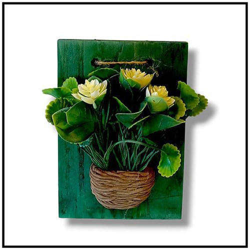 71GJx2DiXaL. SX569 .jpg