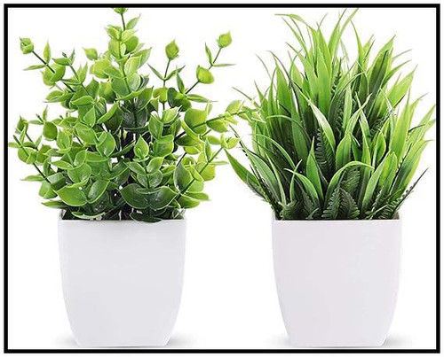 71cNJUkcgWL. SX569 .jpg