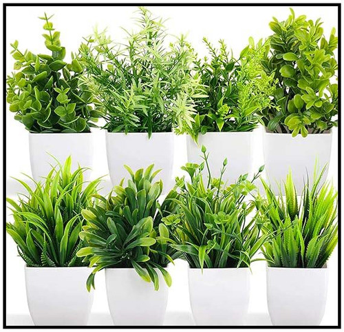 8139T8YbdkL. SX569 .jpg