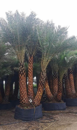 photo 2025 01 26 14 02 43.jpg