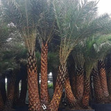 photo 2025 01 26 14 02 43