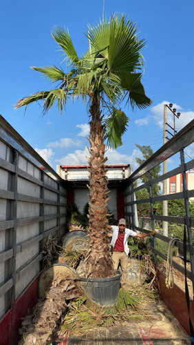 WhatsApp Image 2024 03 04 at 14 30 12 578d00b5.jpg