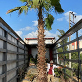 WhatsApp Image 2024 03 04 at 14 30 12 578d00b5