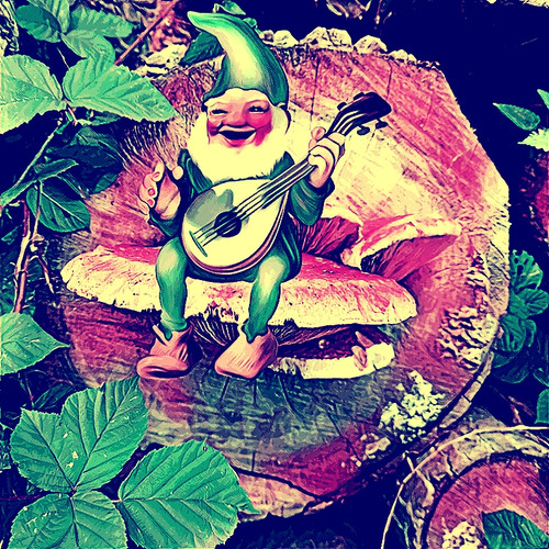 D590DED6 9EFE 4AA9 AAFA C2C385F1210A.jpg