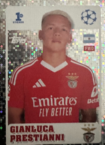239.jpg