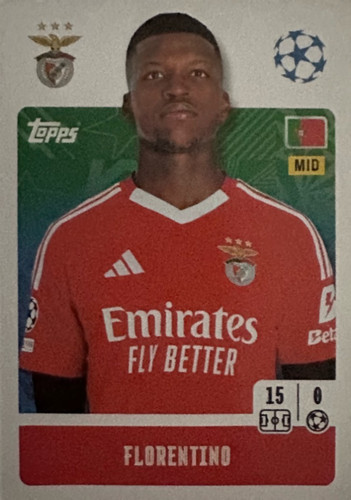 351.jpg