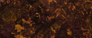629597a4a254f4eabf182fd8b914cf62.md.png