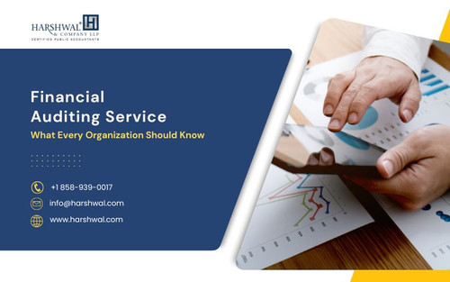 Financial Auditing Service Every organization should know HCLLP.jpg