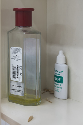 11 Joseph Kusendila Etat des lieux detail.jpg