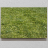 3 Joseph Kusendila Strombeek