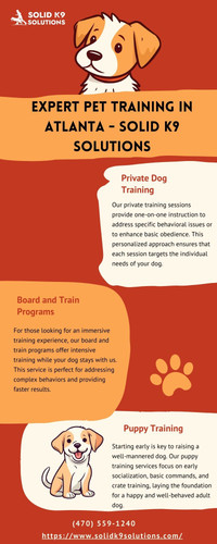 Expert Pet Training in Atlanta Solid K9 Solutions.jpg
