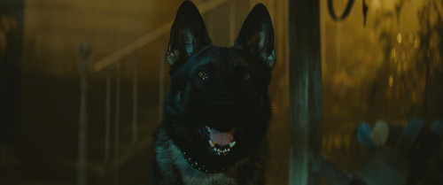 The Family (2013) Hin Eng (1080p BluRay 10bit x265 COSMOS) [PMZ].mkv 20241209 183540.653.jpg