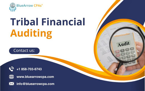 Tribal financial auditing .jpg