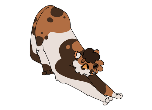 2024 12 09 0de Kleki