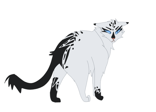 2024 12 09 0ev Kleki