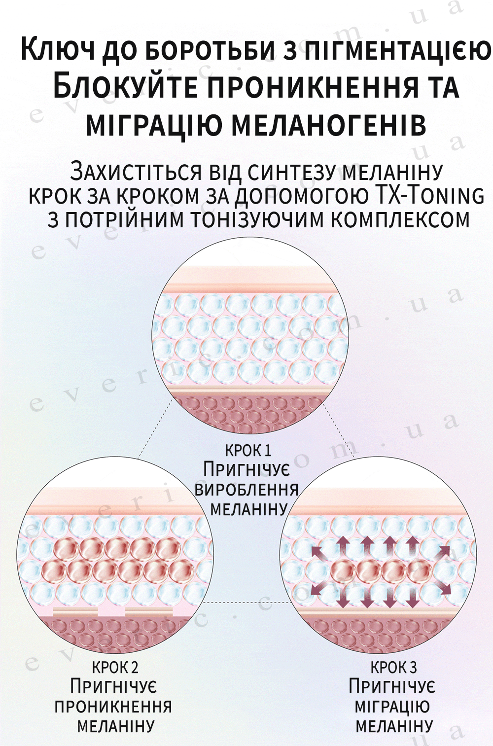 02 копия