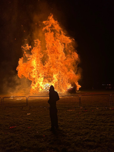 Up In Flames.jpg
