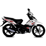 TVSRockZ125NegroBlanco